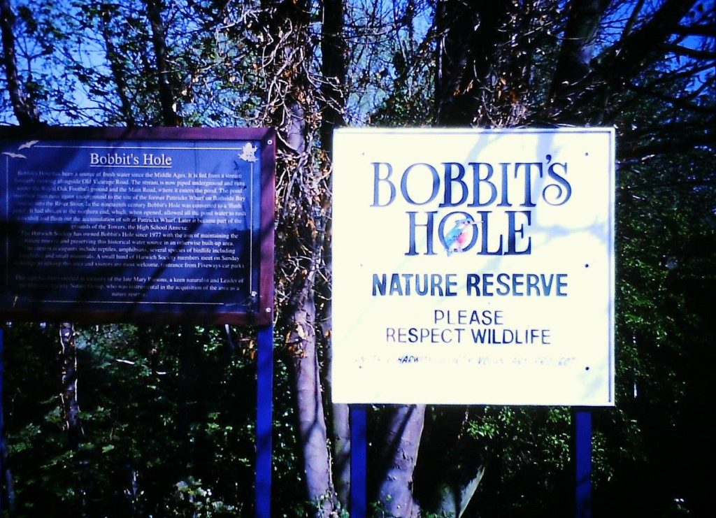 Bobbit's Hole